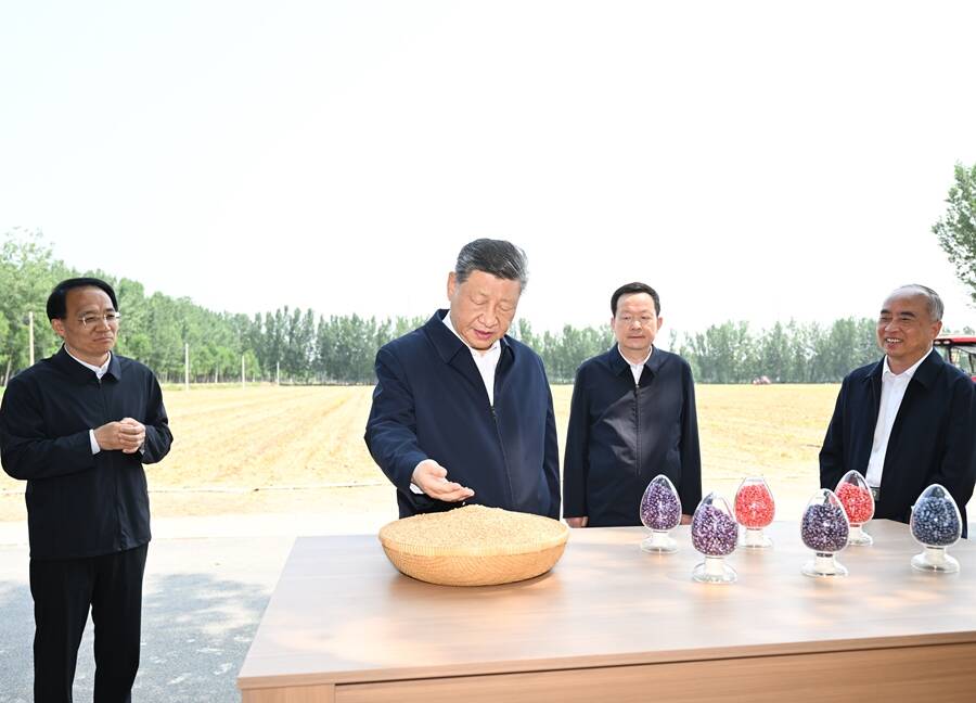 幻灯图
